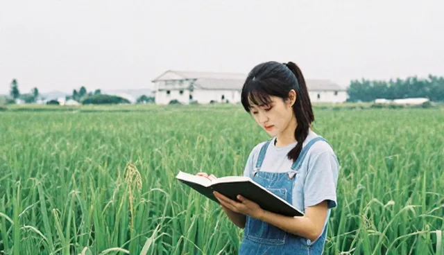 设备维修中的性能与适用条件检查要点